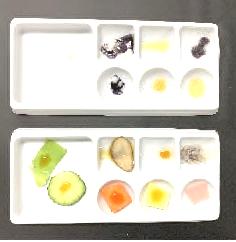 デンプンを探そう！