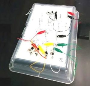コンピューターの秘密を知ろう！