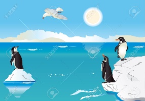南極くらぶ
